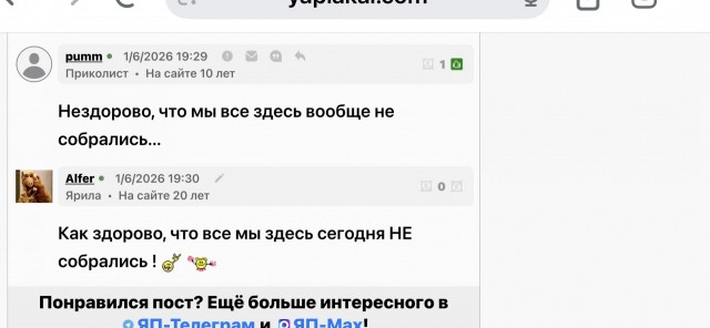 Грушинский фестиваль-2026 отменили из соображений безопасности