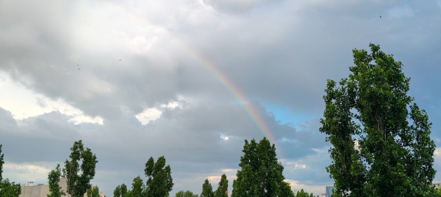 Небо. Облака.