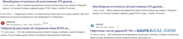 В Госдуме призвали разблокировать Telegram из-за проблем с «Максом»