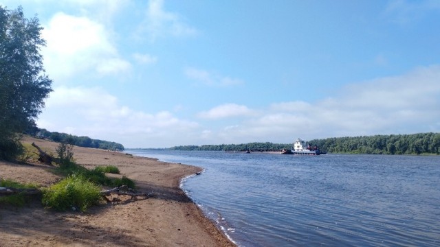 Нашёл камень, похожий на моляр мамонта.