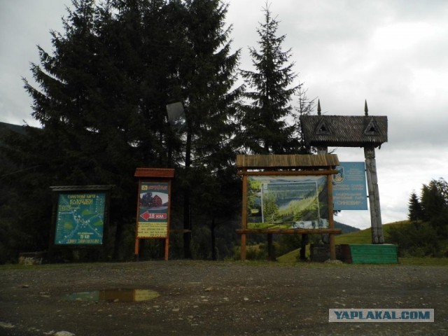 В Карпатах