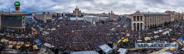 Репортеру Вестей в прямом эфире вручили "Оскар" за