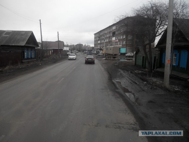 Озеленение Владивостока.