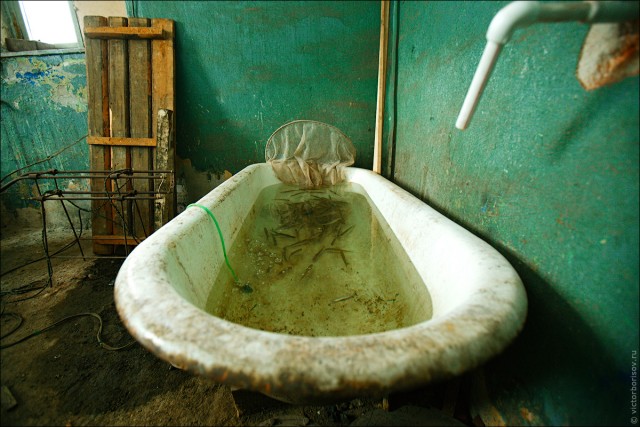 Волчанск - самый маленький город России с трамваем