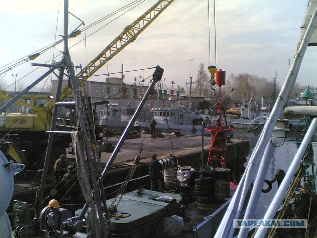 У самого синего моря. Ораниенбаум