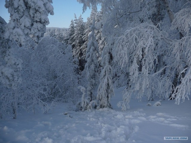 Для скучающих по снегу