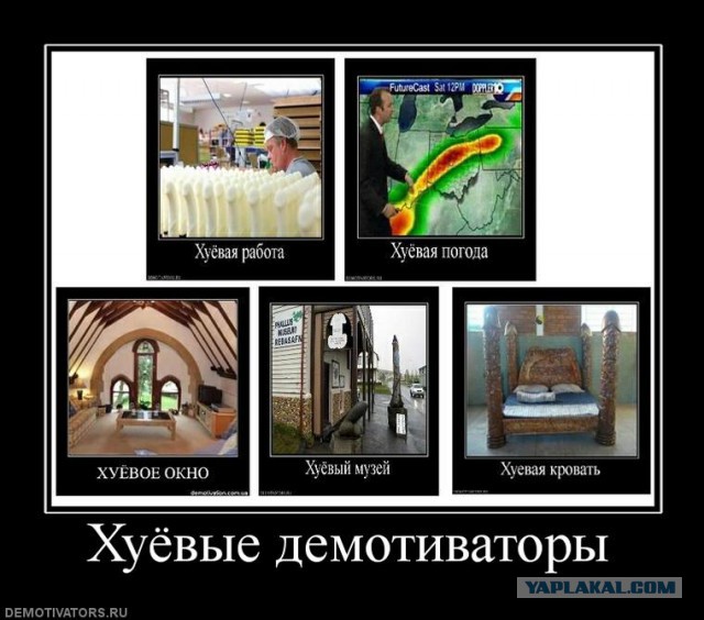 Демотиваторы дня