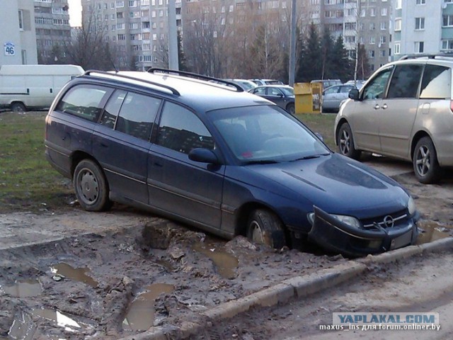 Водители-свиньи!
