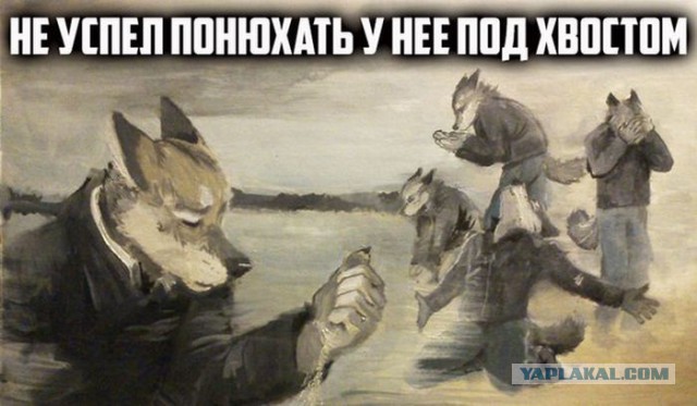 Картинок пост