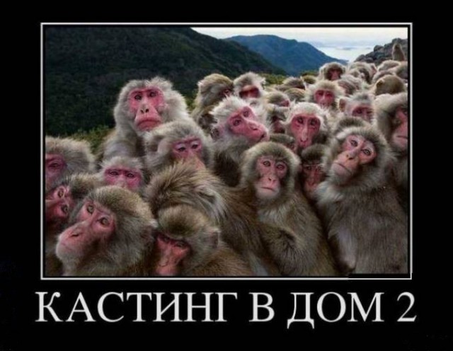 Веселые картинки на пятницу