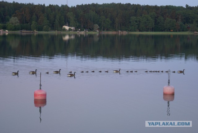 Балтийское море