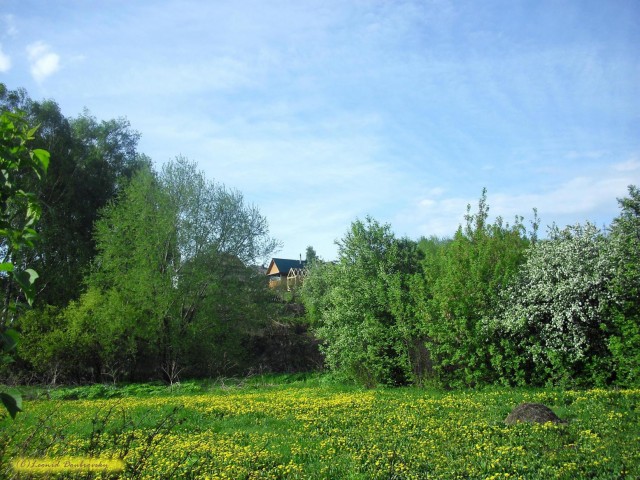 В черном городе