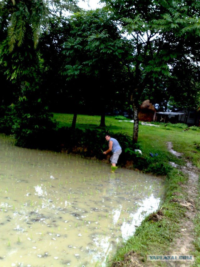 Что такое Бангладеш?