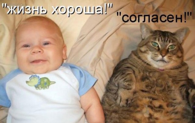 Отовсюду понемногу