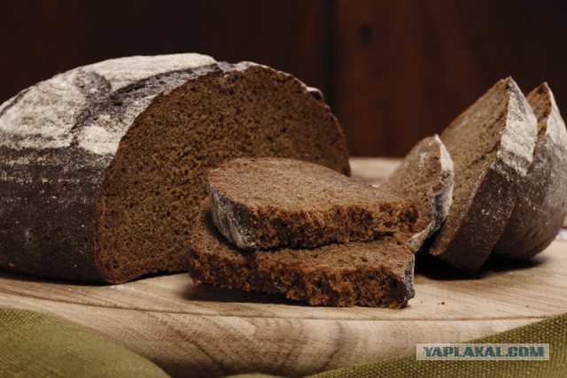 Берёзовый хлеб русского будущего