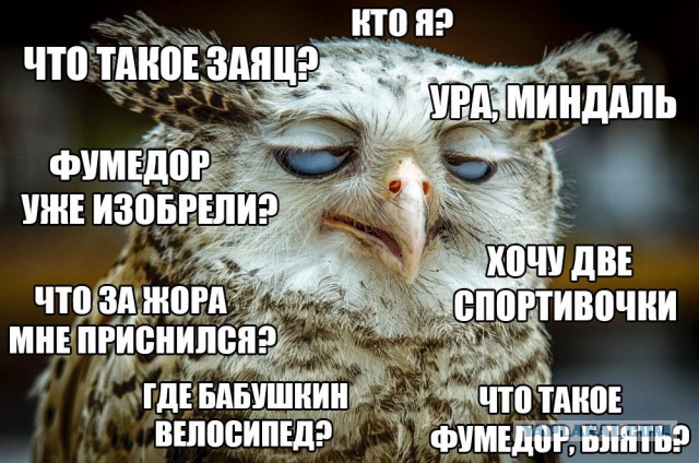 Подборка интересных и веселых фото