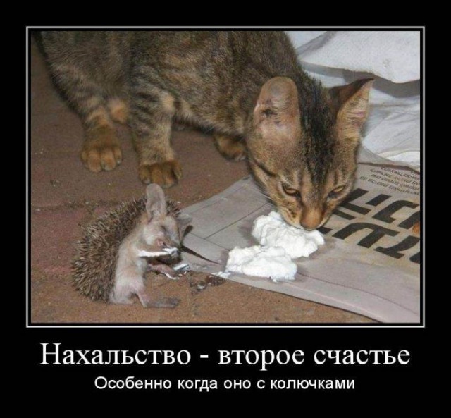 Воришки