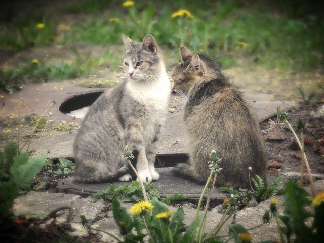 Интересные и веселые картинки