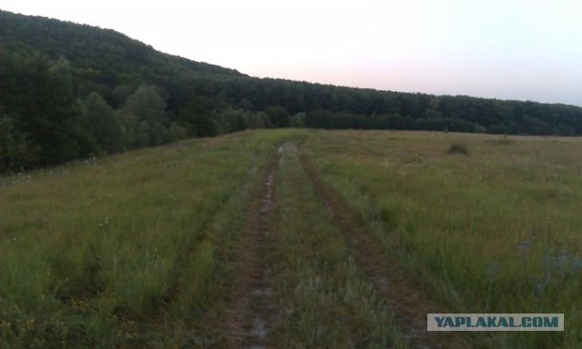 Дачные приколы