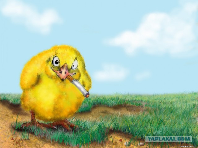 Сочная цыпочка