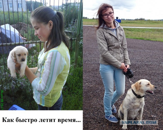 Выросли вместе: собаки и их хозяева в начале дружбы и через много лет