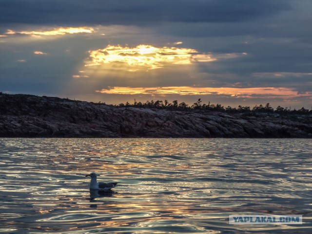 Карелия. Белое море. Немного о рыбалке.