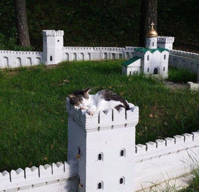 Разные картинки