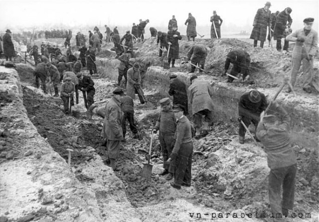 Берлинская операция. Апрель - май 1945 года.