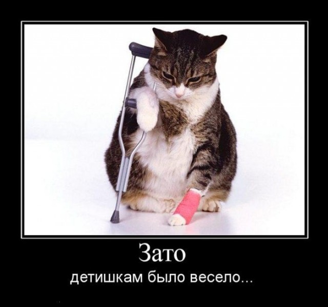 Девочка, флегматичный кот и соска