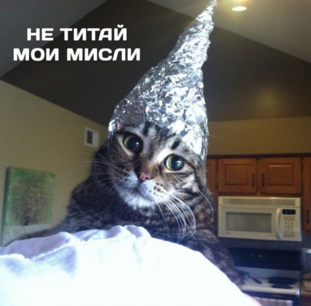 Смешные картинки