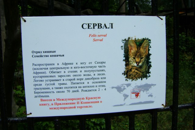 Новосибирск