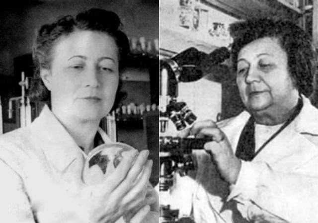 «Мадам Пенициллин»: как советская женщина-микробиолог поборола холеру и нашла универсальный антибиотик