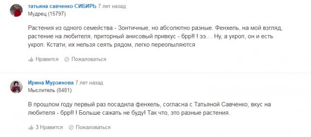 Элитный суп бедняков