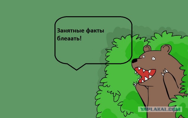 40 занятных фактов о работе проститутки