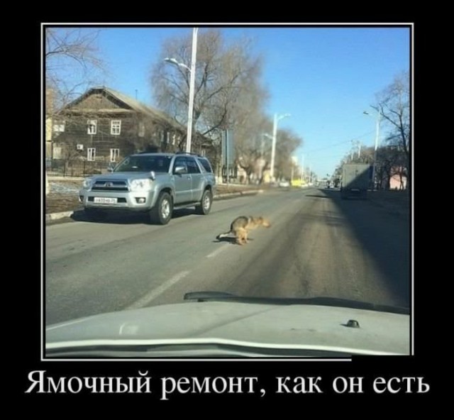 Картинки с надписями