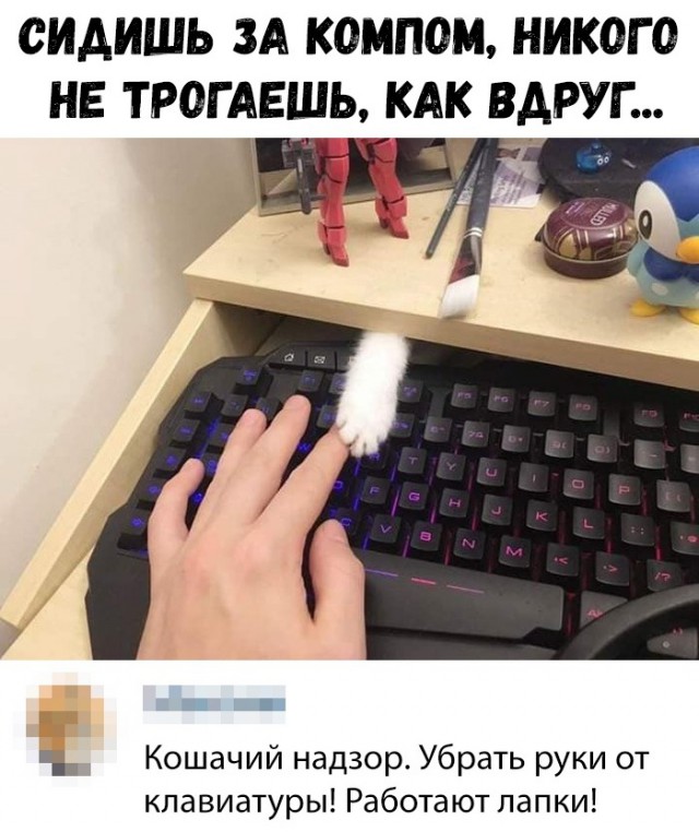 Нестандартный юмор