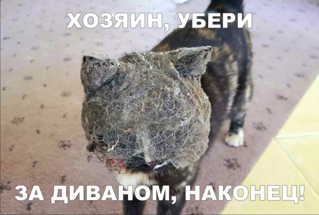 Нестандартный юмор