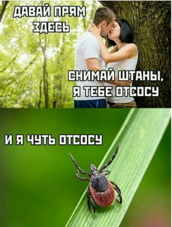 Сезон настал