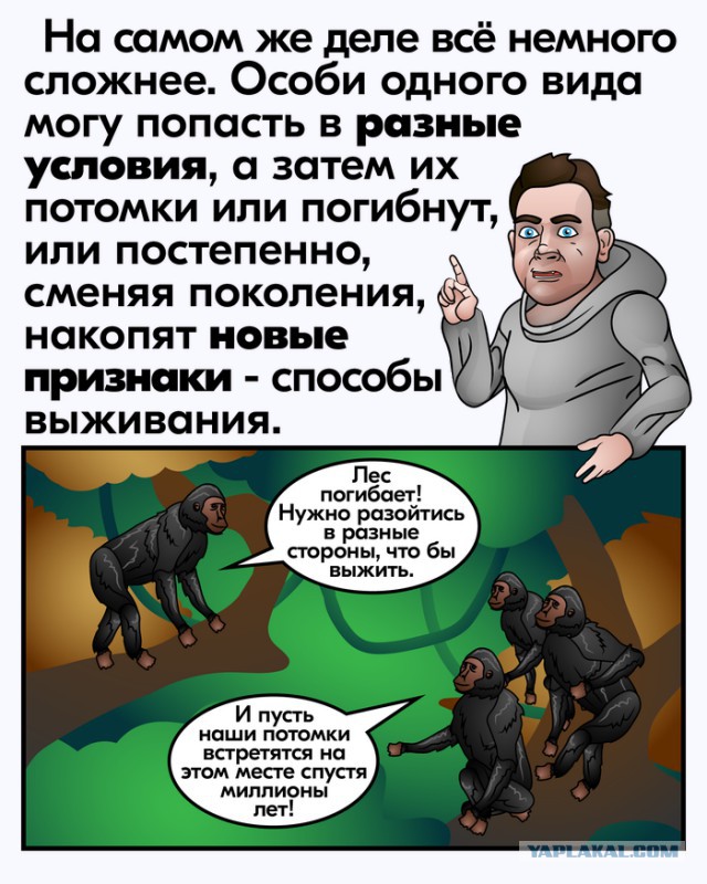 Реальность гораздо интереснее…