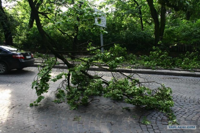 Ураган во Львове.