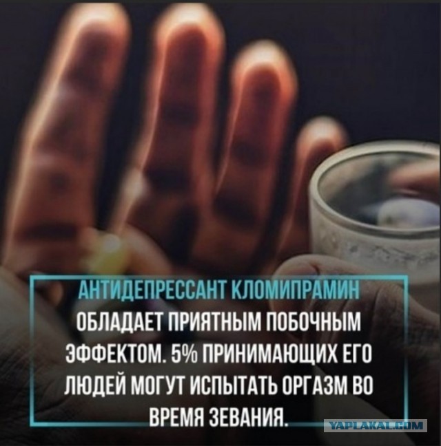 Бредзона картинок 20.11.2019