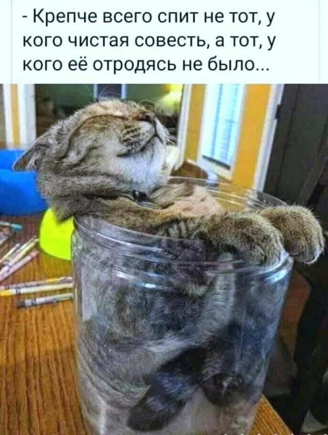 Бредзона 03.05.20