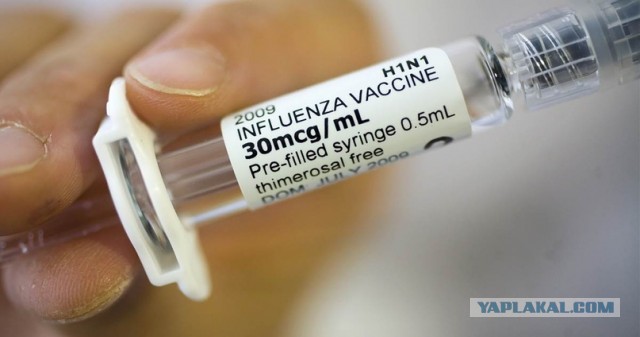 H1N1 - от испанки до наших дней: "нулевой мальчик" и пандемии