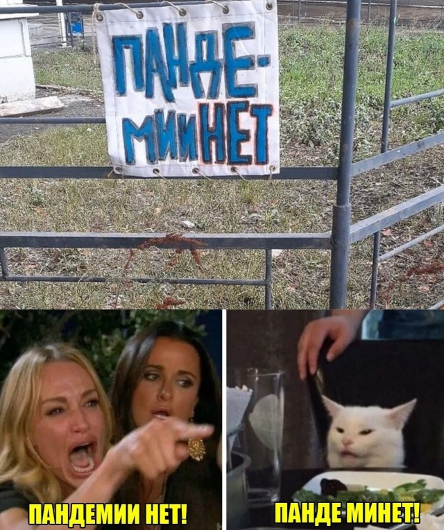 Кота не переубедить