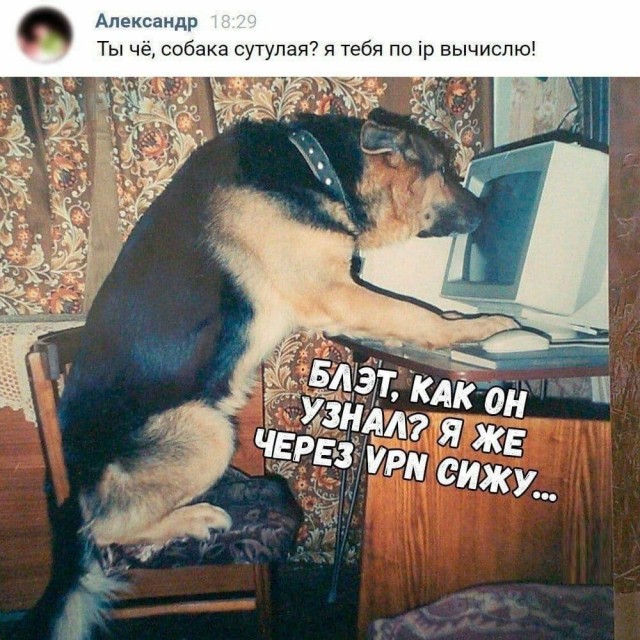 Фу, пошлятина одна
