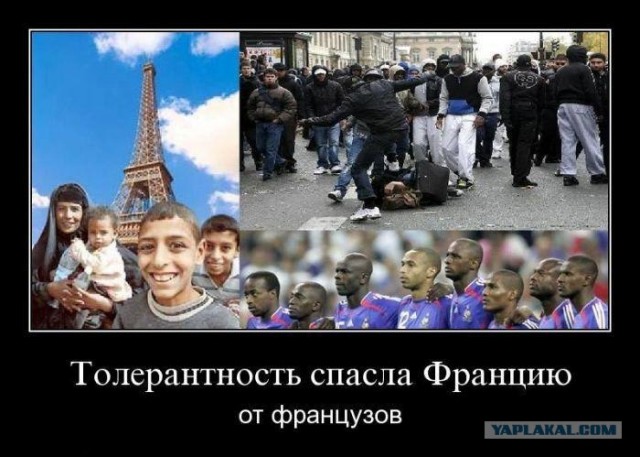 Французский пилот просит российское гражданство