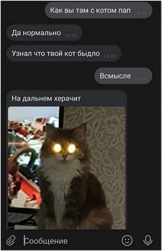 Картинки и мемы для настроения 02.06.2021