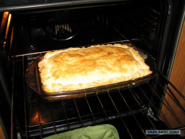 Все из рыбы!