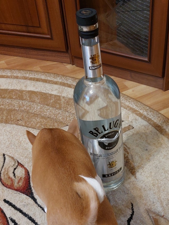 Моя коллекция (Алкоминималистика)