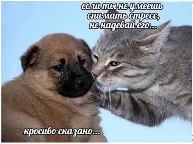 Картинки с надписями и всякие жизненные фразы
